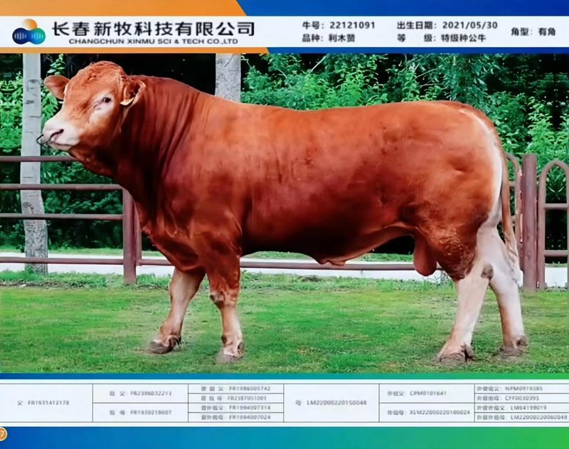 隆阳区养殖场的生态变革与未来展望